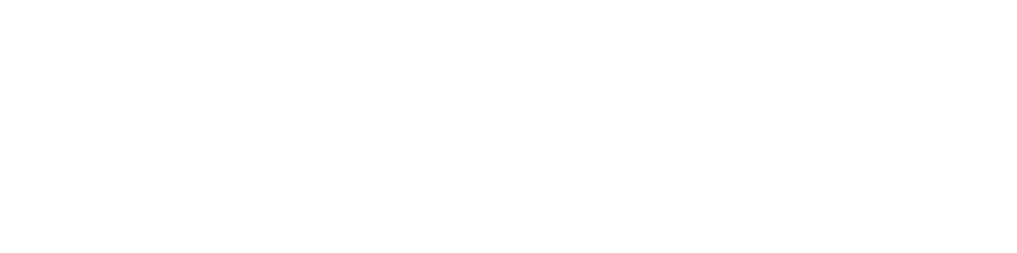 Critical Ops